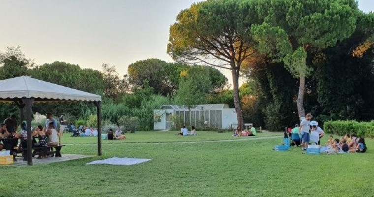 Picnic tra le farfalle